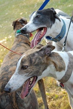 image july-31-14-jpg